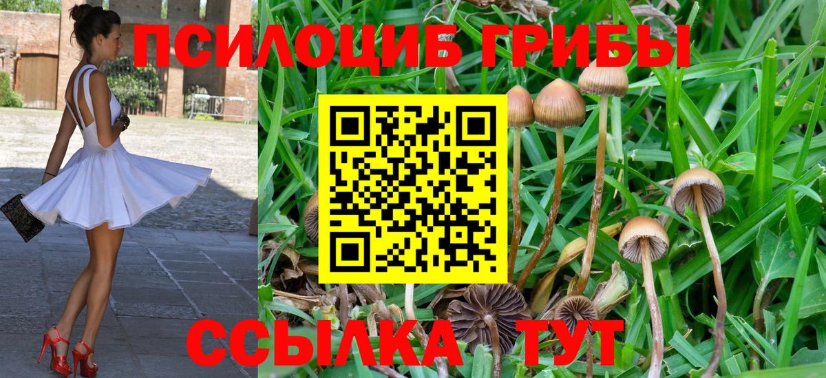 Лесной  закладка  Вход с VPN  Псилоцибиновые грибы MAGIC MUSHROOMS 