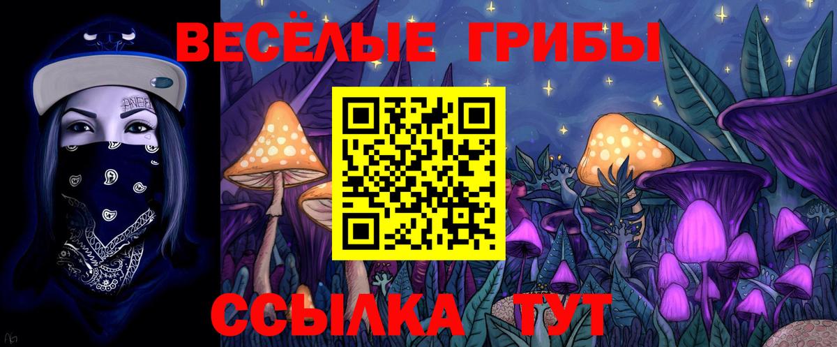 Псилоцибиновые грибы MAGIC MUSHROOMS Лесной
