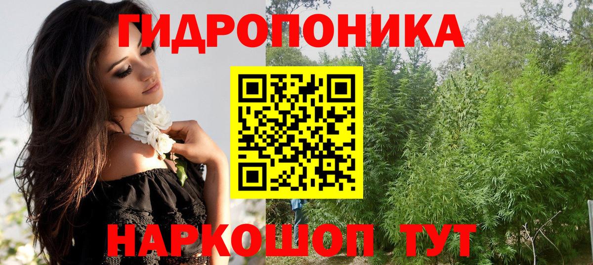 Шишки марихуана Bruce Banner Лесной